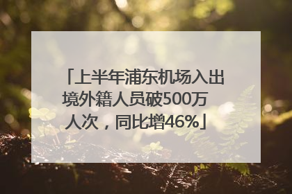 上半年浦东机场入出境外籍人员破500万人次，同比增46%