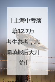 上海中考落幕12.7万考生参考，志愿填报后天开始