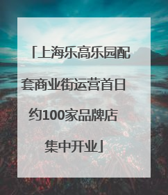 上海乐高乐园配套商业街运营首日约100家品牌店集中开业