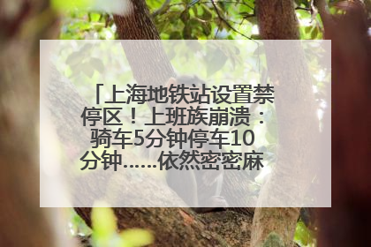 上海地铁站设置禁停区！上班族崩溃：骑车5分钟停车10分钟……依然密密麻麻无从下脚？