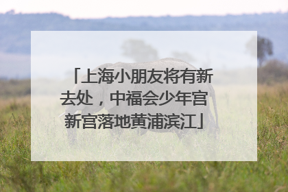 上海小朋友将有新去处，中福会少年宫新宫落地黄浦滨江