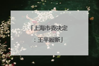 上海市委决定：王平履新