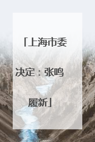 上海市委决定：张鸣履新