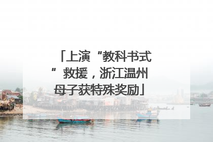 上演“教科书式”救援，浙江温州母子获特殊奖励