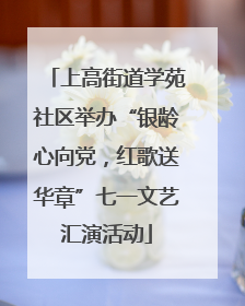 上高街道学苑社区举办“银龄心向党，红歌送华章”七一文艺汇演活动