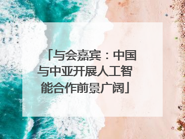 与会嘉宾：中国与中亚开展人工智能合作前景广阔