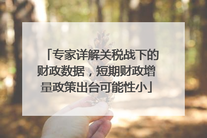 专家详解关税战下的财政数据，短期财政增量政策出台可能性小