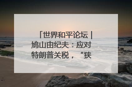 世界和平论坛｜鸠山由纪夫：应对特朗普关税，“狭路相逢勇者胜”