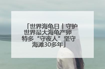 世界海龟日丨守护世界最大海龟产卵 特多“守夜人”坚守海滩30多年