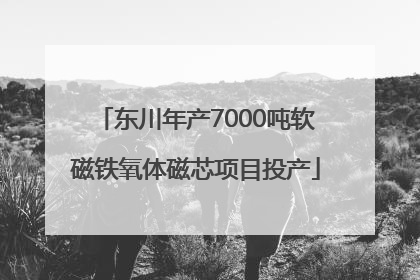 东川年产7000吨软磁铁氧体磁芯项目投产