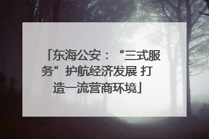 东海公安：“三式服务”护航经济发展 打造一流营商环境