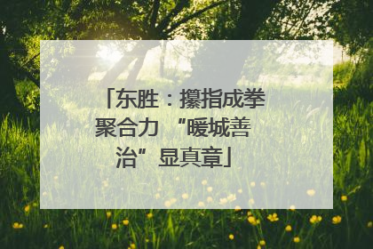 东胜：攥指成拳聚合力 “暖城善治”显真章