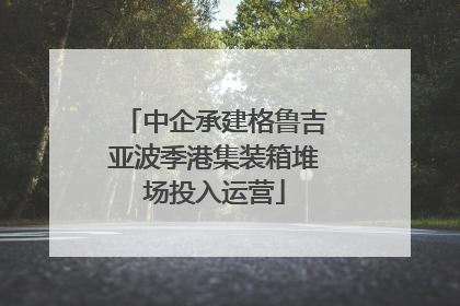 中企承建格鲁吉亚波季港集装箱堆场投入运营