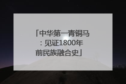 中华第一青铜马：见证1800年前民族融合史