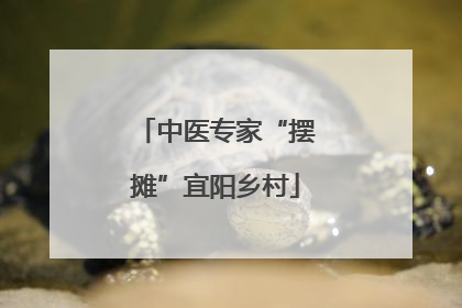 中医专家“摆摊”宜阳乡村