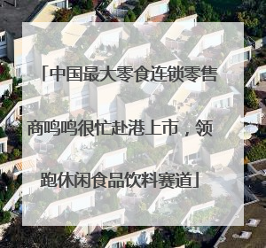 中国最大零食连锁零售商鸣鸣很忙赴港上市，领跑休闲食品饮料赛道