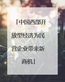 中国西部开放型经济为民营企业带来新商机