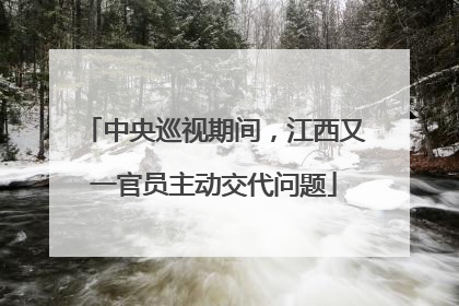 中央巡视期间，江西又一官员主动交代问题