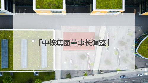 中核集团董事长调整