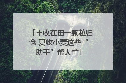 丰收在田→颗粒归仓 夏收小麦这些“助手”帮大忙
