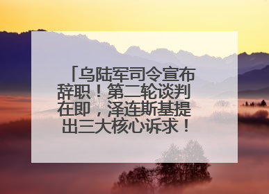 乌陆军司令宣布辞职！第二轮谈判在即，泽连斯基提出三大核心诉求！乌方透露摧毁41架俄战略轰炸机