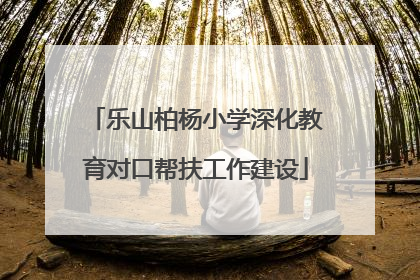 乐山柏杨小学深化教育对口帮扶工作建设