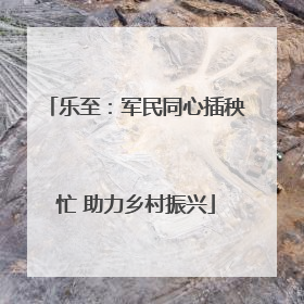 乐至：军民同心插秧忙 助力乡村振兴