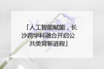 人工智能赋能，长沙跨学科融合开启公共美育新进程