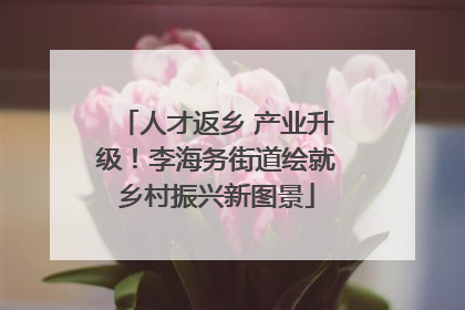 人才返乡 产业升级！李海务街道绘就乡村振兴新图景