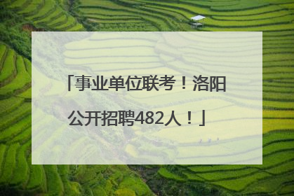 事业单位联考！洛阳公开招聘482人！