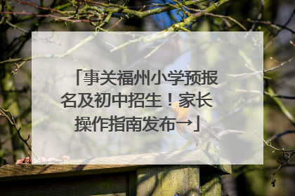 事关福州小学预报名及初中招生！家长操作指南发布→