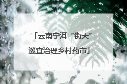 云南宁洱“街天”巡查治理乡村药市