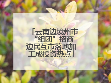 云南边境州市“组团”招商 边民互市落地加工成投资热点