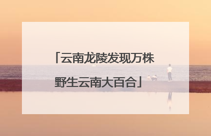 云南龙陵发现万株野生云南大百合