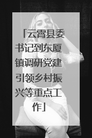 云霄县委书记到东厦镇调研党建引领乡村振兴等重点工作
