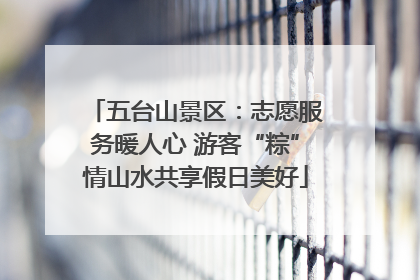 五台山景区：志愿服务暖人心 游客“粽”情山水共享假日美好