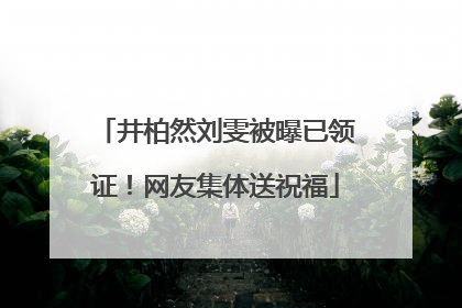 井柏然刘雯被曝已领证！网友集体送祝福