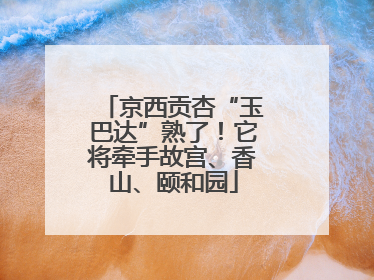 京西贡杏“玉巴达”熟了！它将牵手故宫、香山、颐和园