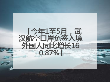 今年1至5月，武汉航空口岸免签入境外国人同比增长160.87%