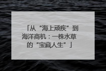 从“海上顽疾”到海洋商机：一株水草的“宝藏人生”