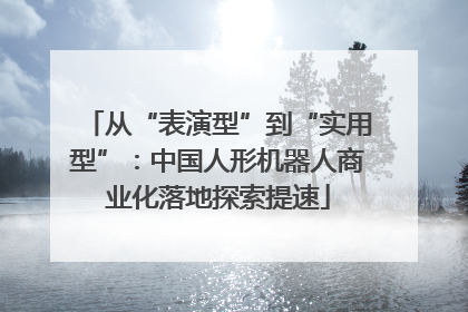 从“表演型”到“实用型”：中国人形机器人商业化落地探索提速