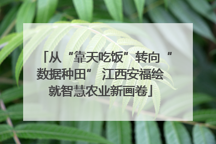 从“靠天吃饭”转向“数据种田” 江西安福绘就智慧农业新画卷