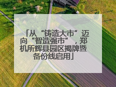 从“铸造大市”迈向“智造强市”，郑机所辉县园区揭牌暨备份线启用