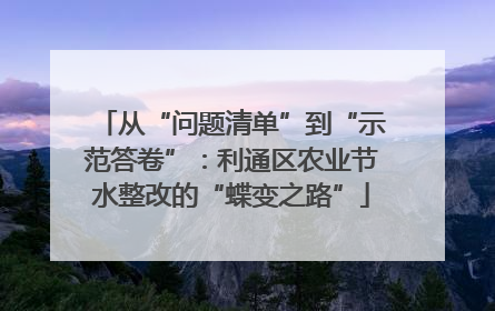 从“问题清单”到“示范答卷”：利通区农业节水整改的“蝶变之路”