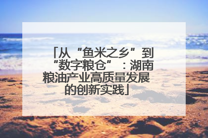 从“鱼米之乡”到“数字粮仓”：湖南粮油产业高质量发展的创新实践