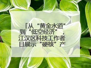 从“黄金水道”到“低空经济”，江汉区科技工作者日展示“硬核”产业答卷