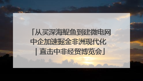 从买深海鳀鱼到建微电网 中企加速掘金非洲现代化｜直击中非经贸博览会
