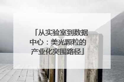 从实验室到数据中心：美光颗粒的产业化突围路径