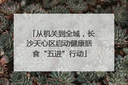 从机关到全域，长沙天心区启动健康膳食“五进”行动