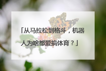 从马拉松到格斗，机器人为啥都爱搞体育？